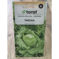 Sałata krucha lodowa Tarzan